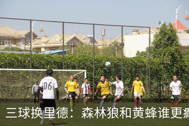 三球换里德：森林狼和黄蜂谁更癫？！