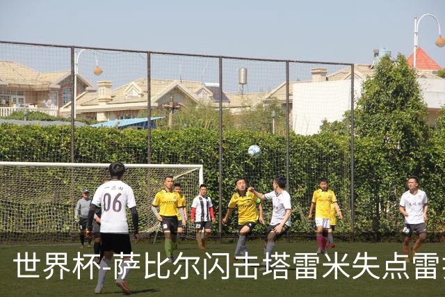 世界杯-萨比尔闪击塔雷米失点雷扎伊扬扳平 半场埃及1-1伊朗
