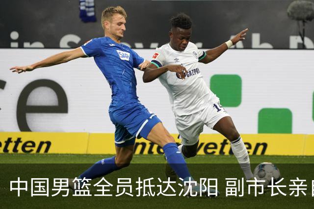 中国男篮全员抵达沈阳 副市长亲自接机，偶遇粉丝团秒变背景板！